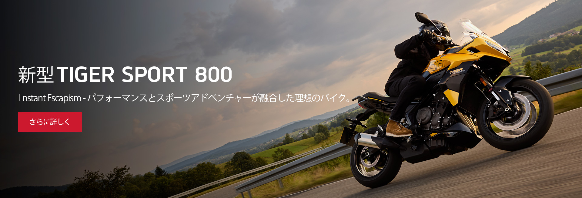 TIGER SPORT 800